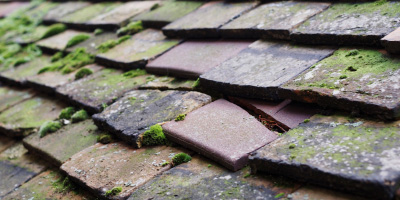 Harlaston roof repair costs